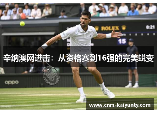 辛纳澳网进击：从资格赛到16强的完美蜕变