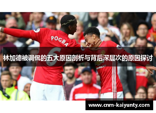 林加德被调侃的五大原因剖析与背后深层次的原因探讨