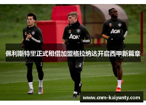 佩利斯特里正式租借加盟格拉纳达开启西甲新篇章